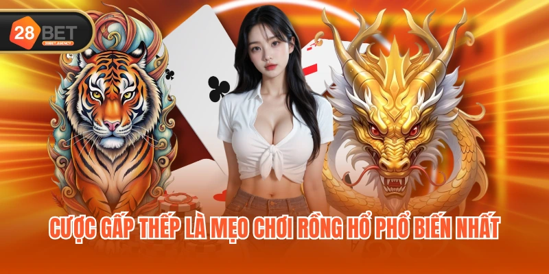 Cược gấp thếp là mẹo chơi Rồng Hổ phổ biến nhất